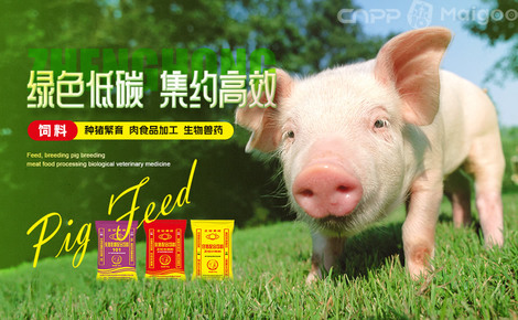 正虹简介-正虹饲料
